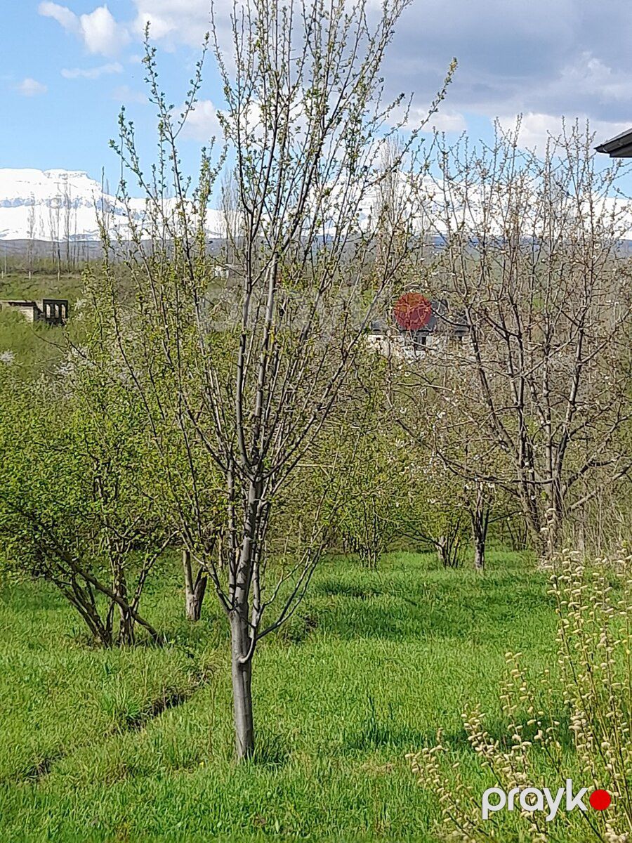 12 sot torpaq sahəsi, Qusar r — Torpaq, Qusar (9)