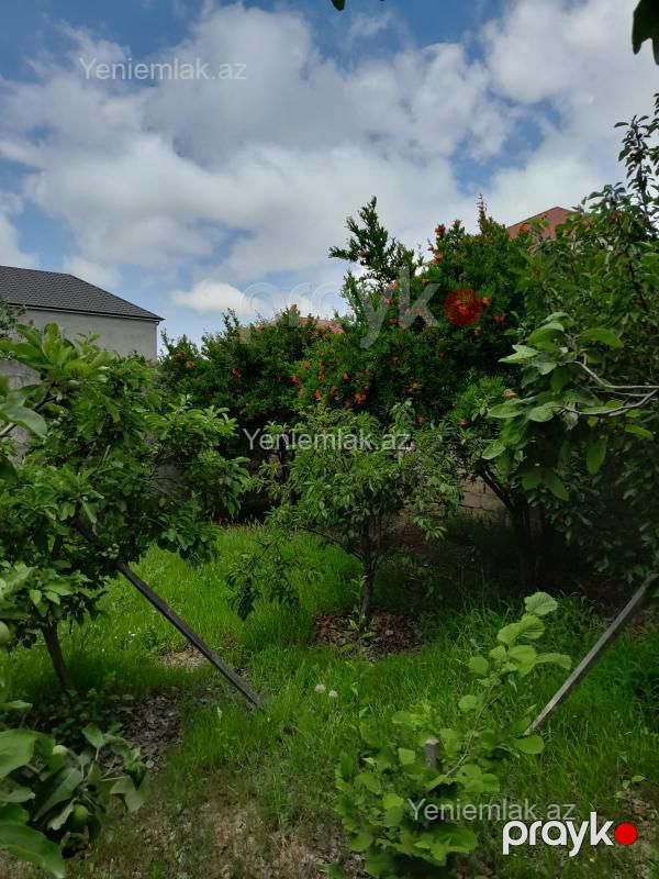 Satılır 8 otaqlı Həyət evi / Villa, 450 m², Saray — Ev, villa, Abşeron (8)