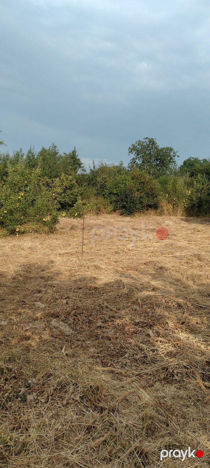6 sot torpaq sahəsi, Quba r — Torpaq, Quba (3)