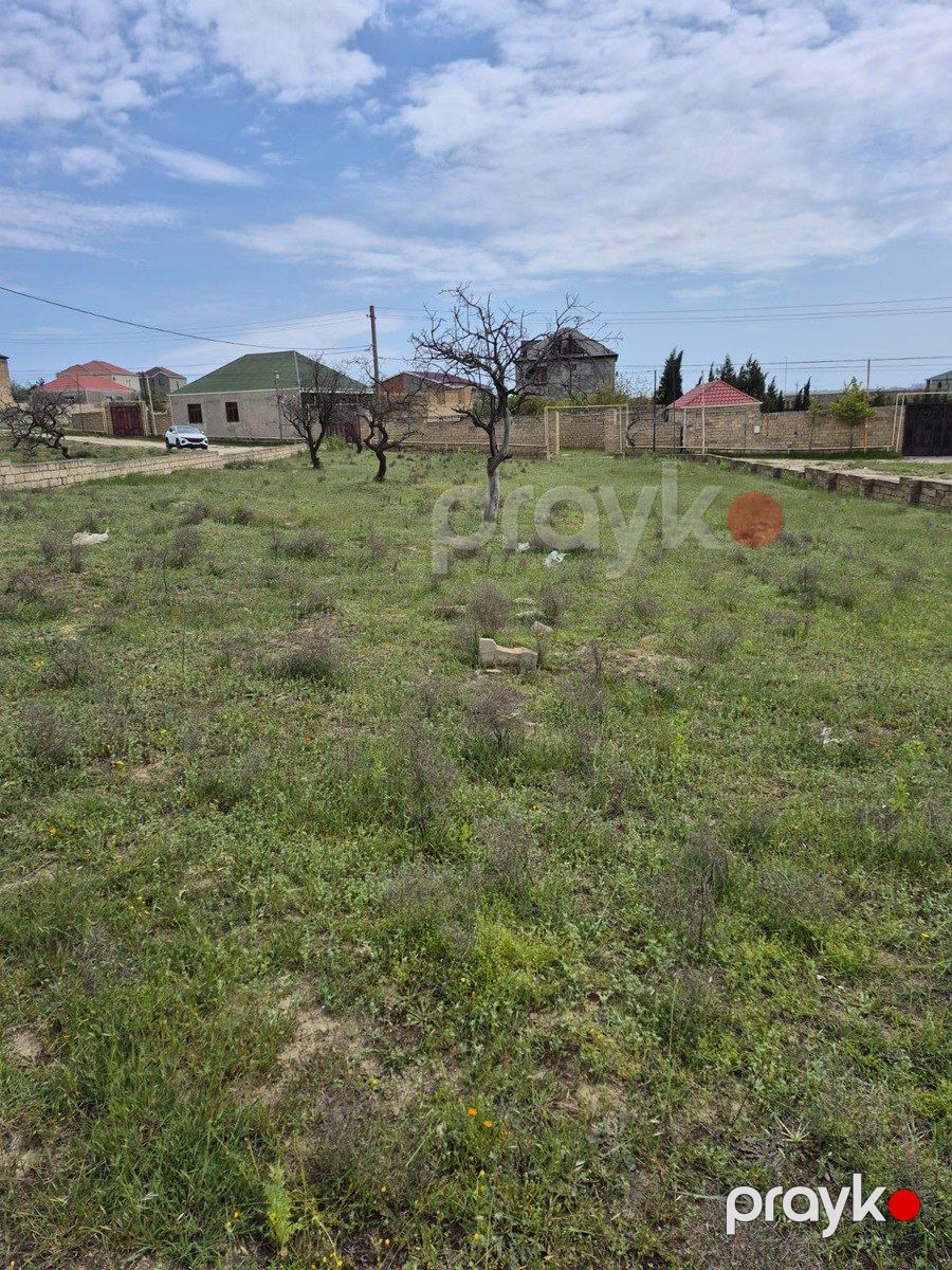 11 sot torpaq sahəsi, Saray qəs — Torpaq, Bakı (5)