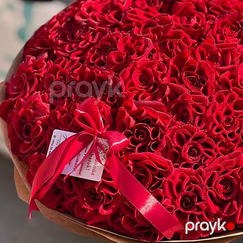 101 Qırmızı Qızılgüllər - code:5100 — Bitkilər, Bakı (2)