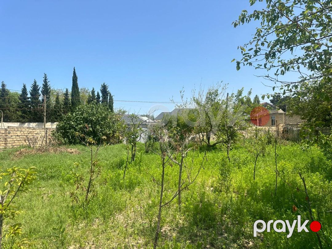 Satılır torpaq 3 sot — Torpaq, Bakı (5)