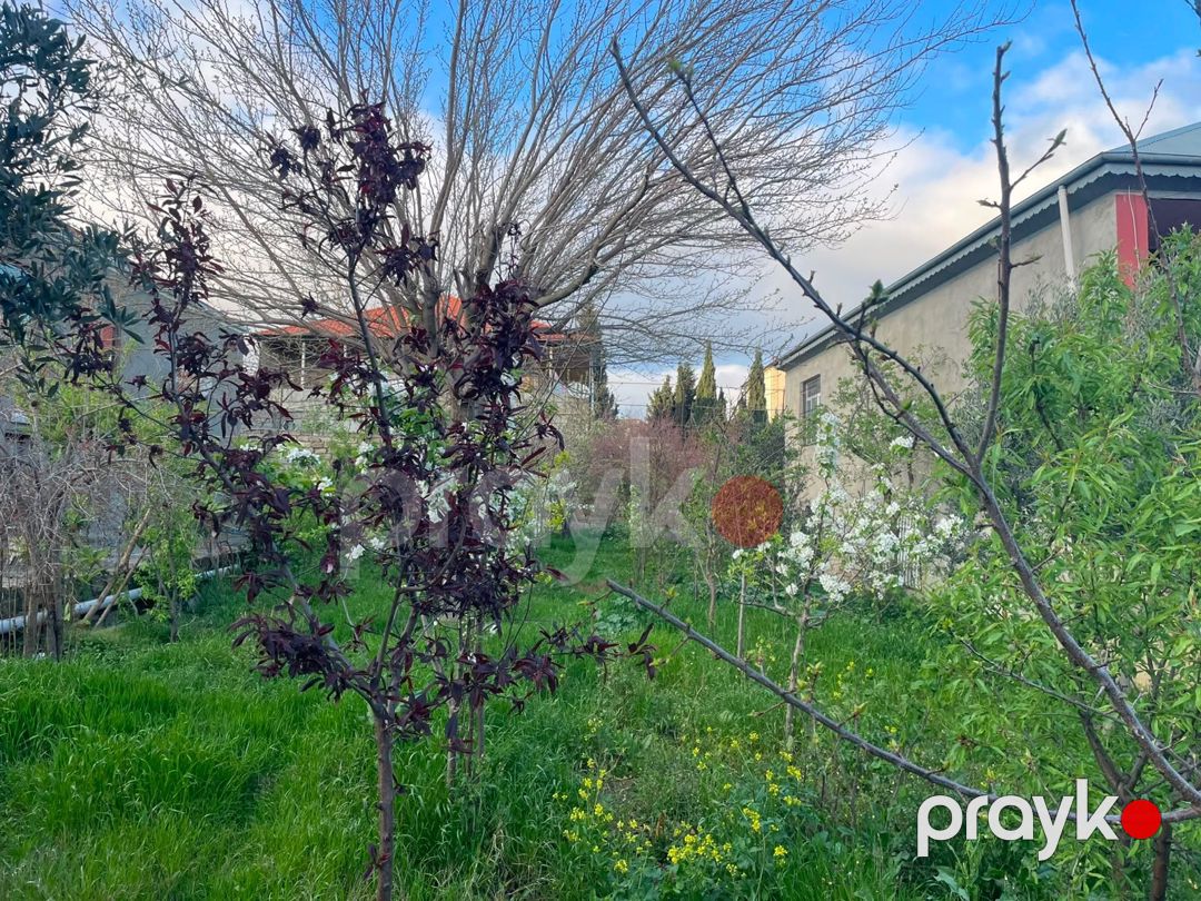 4 sot torpaq sahəsi, Xətai r — Torpaq, Bakı (2)