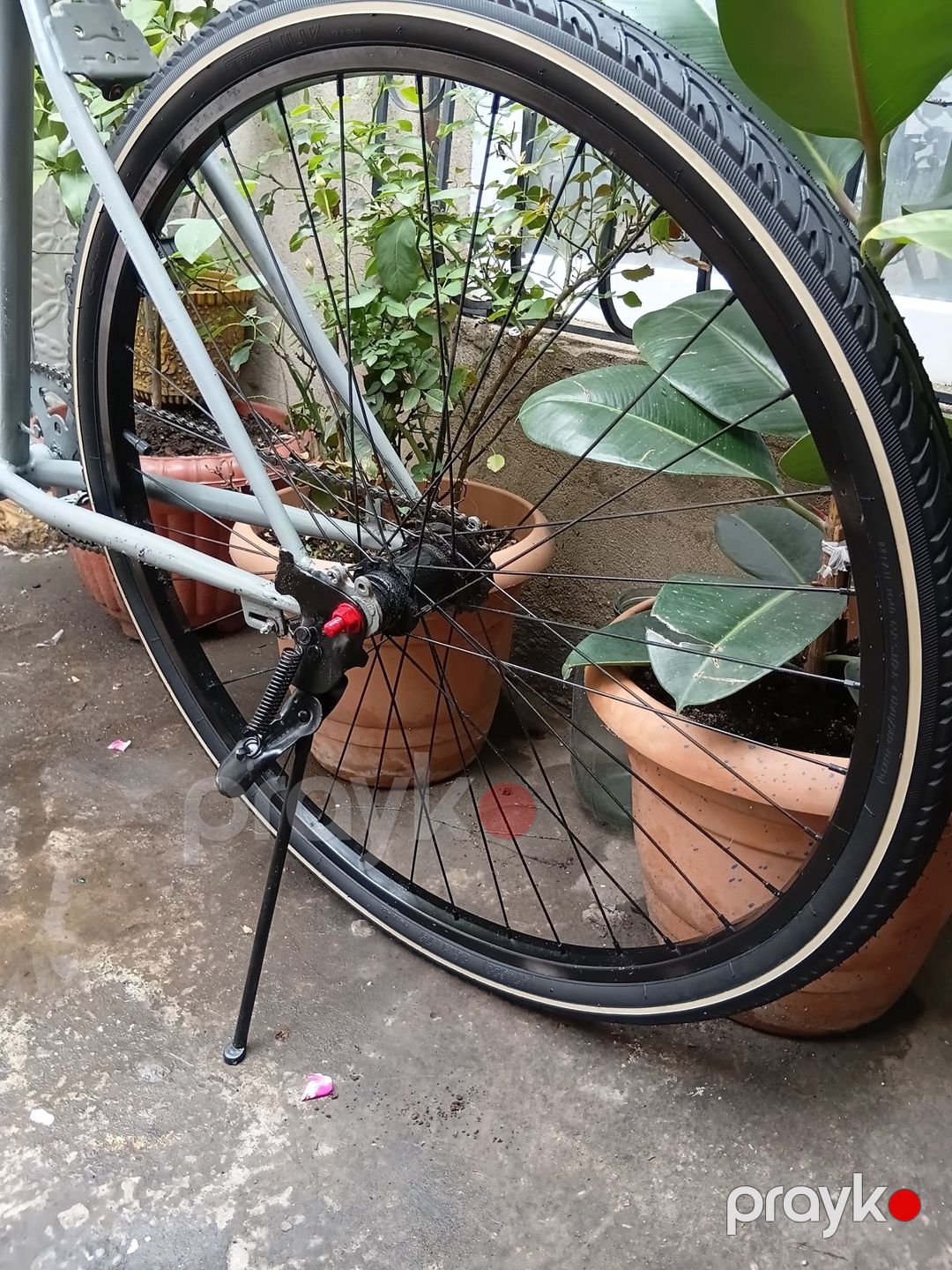 Velosiped — Velosipedlər, Bakı (4)