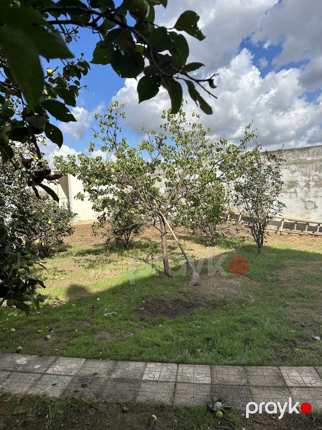 İcarəyə verilir 5 otaqlı həyət evi/bağ evi 200 m² — Ev, villa, Bakı (7)