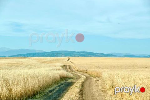 Satılır torpaq 32 sot — Qəbələ