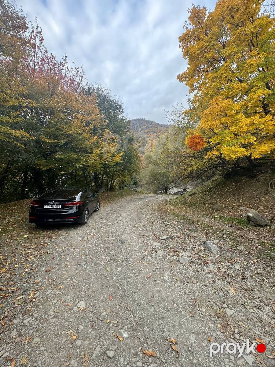 Satılır torpaq 30 sot — Torpaq, Zaqatala (6)