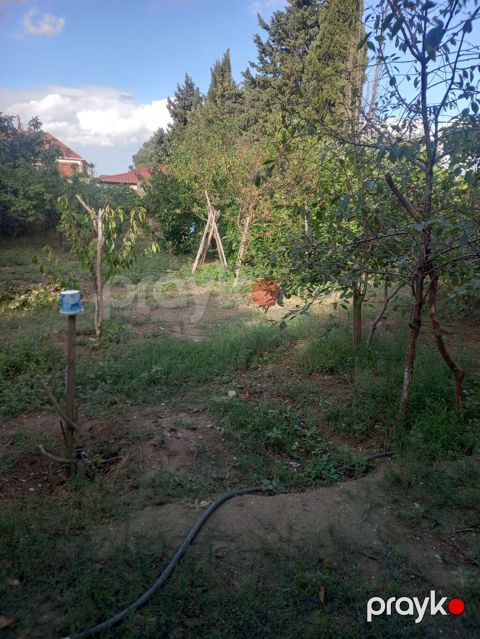 Torpaq satilir.senedi kupcadir.uzerinde el evi de var. su saygaci ve — Digah