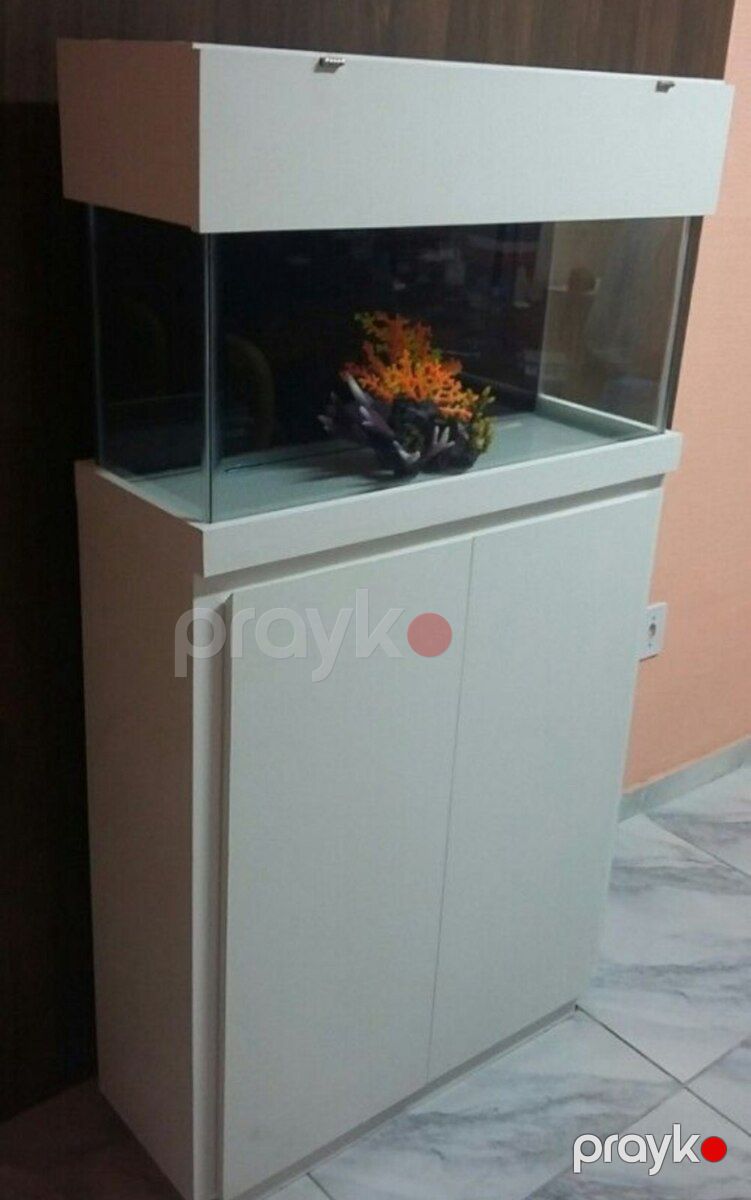 Akvarium — Akvariumlar və balıqlar, Sumqayıt (11)