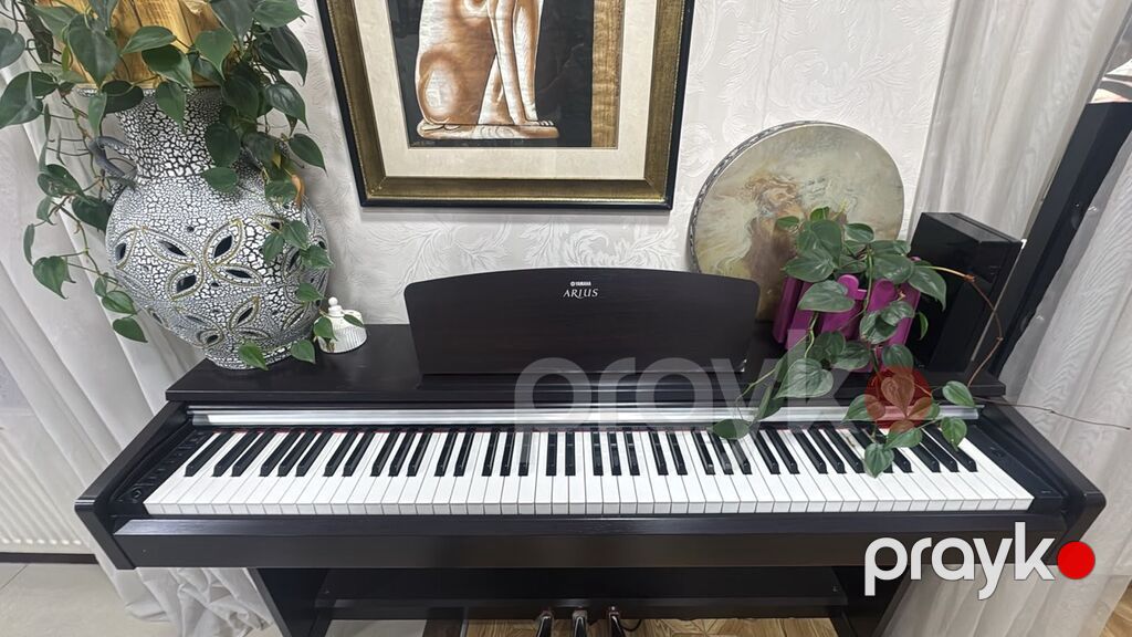 Yamaha Arıus YDP-165 — İcarəyə Verilir Tədbirlər, konsertlər — Pianino və digər klaviş alətləri, Bakı (2)