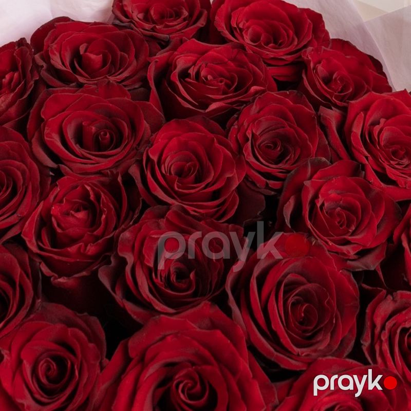 21 Qızılgül - code:5051 — Bitkilər, Bakı (4)