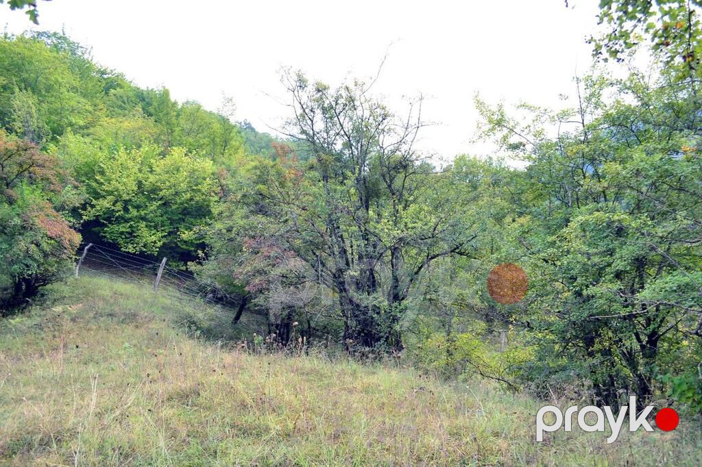 80 sot torpaq sahəsi, Quba r — Torpaq, Quba (7)