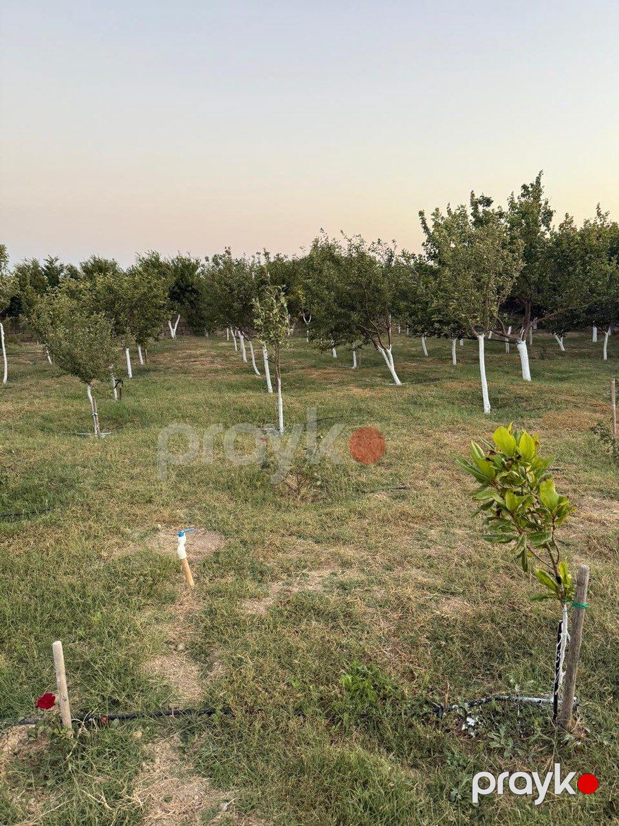 Satılır 1 otaqlı həyət evi/bağ evi 45 m² — Ev, villa, Bakı (7)
