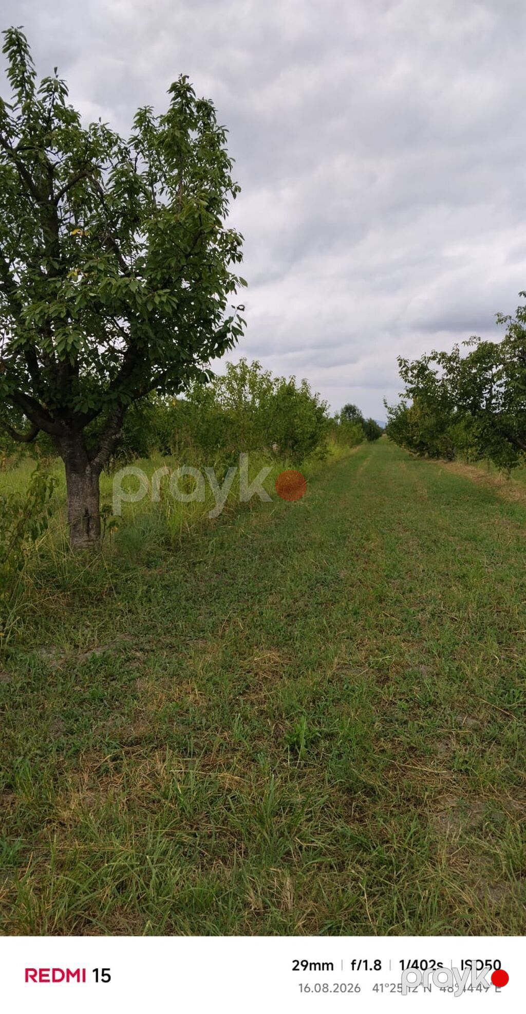Kənd təsərrüfatı, Kommunal xətlər qoşulmayıb — Torpaq, Xaçmaz (4)