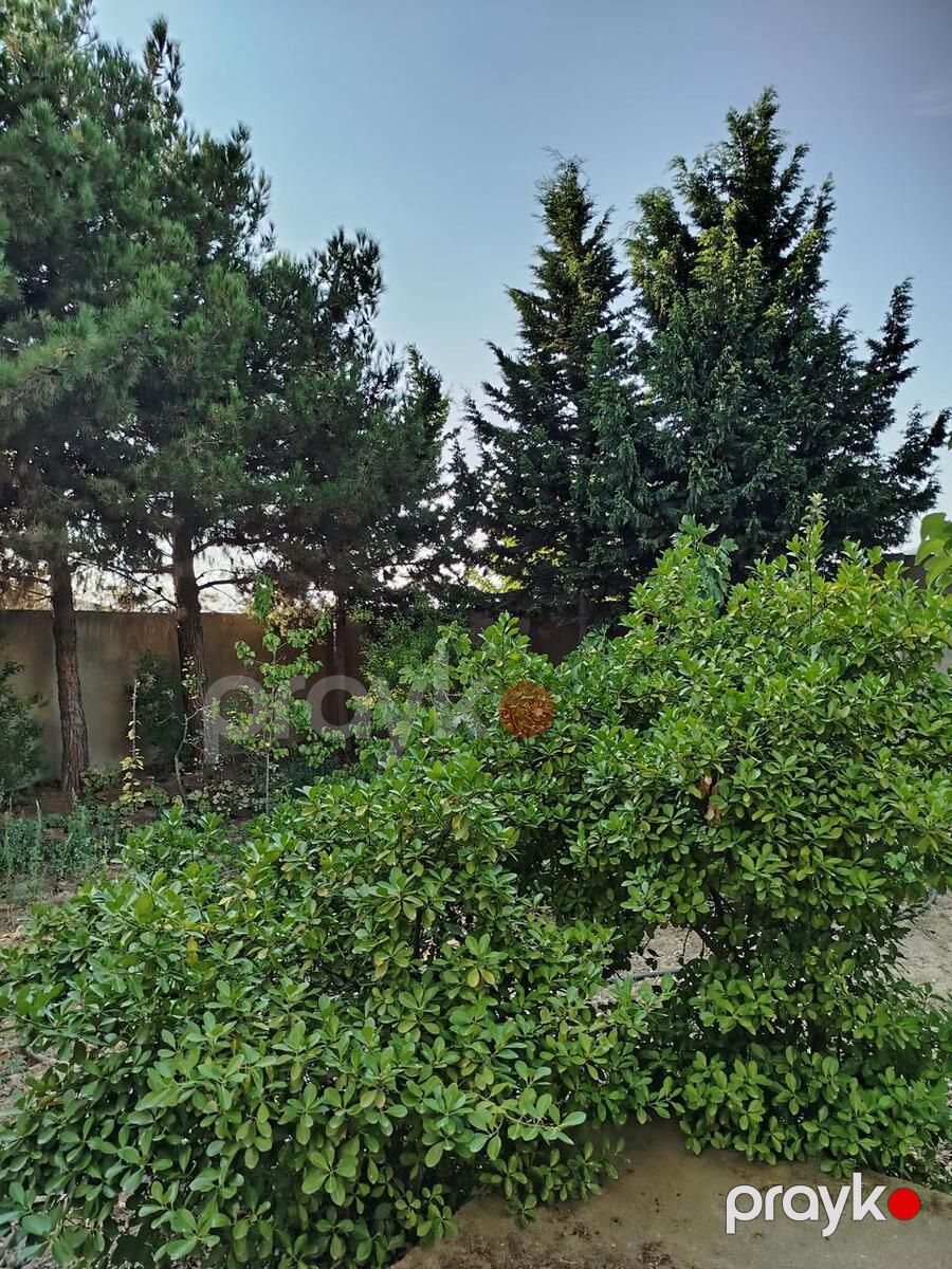 İcarəyə verilir 6 otaqlı həyət evi/bağ evi 480 m² — Ev, villa, Bakı (2)