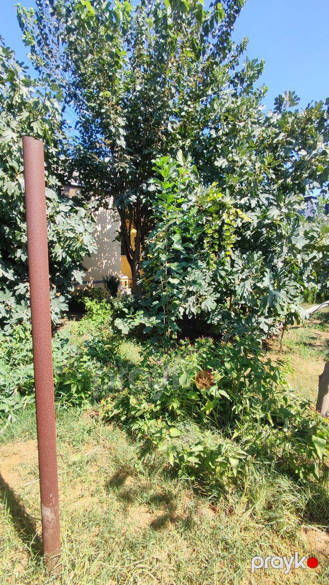 Satılır 4 otaqlı həyət evi/bağ evi 120 m² — Ev, villa, Bakı (5)