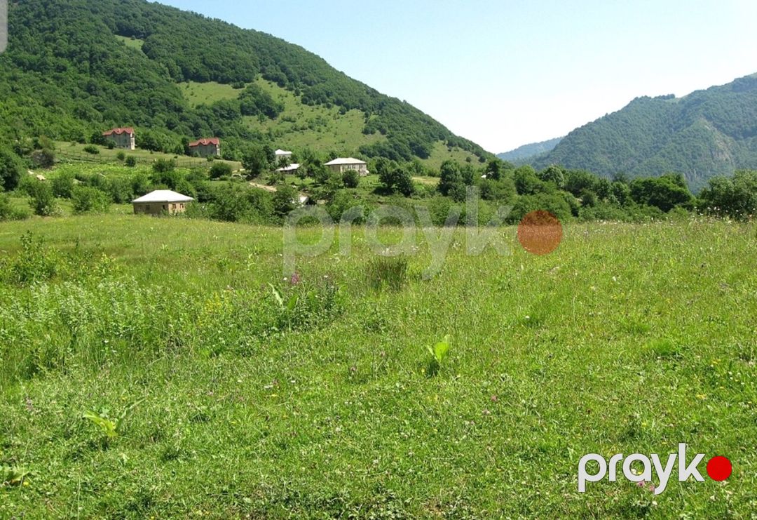 Satılır torpaq 50 sot — Torpaq, Quba (6)