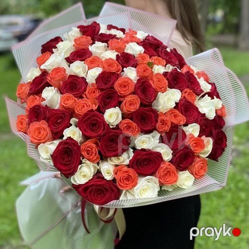 101 qızılgül parlaq qarışıq - kod 7171 — Bitkilər, Bakı (6)