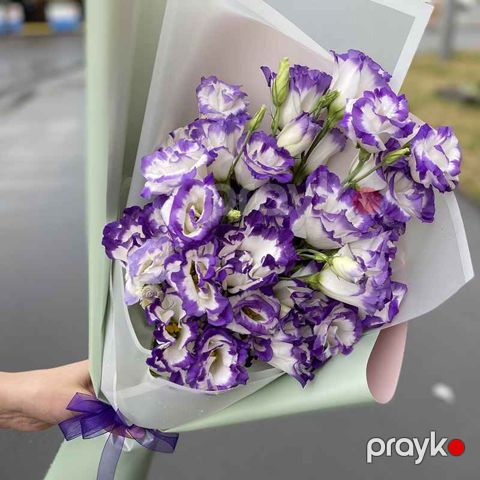 Eustoma - code:2017