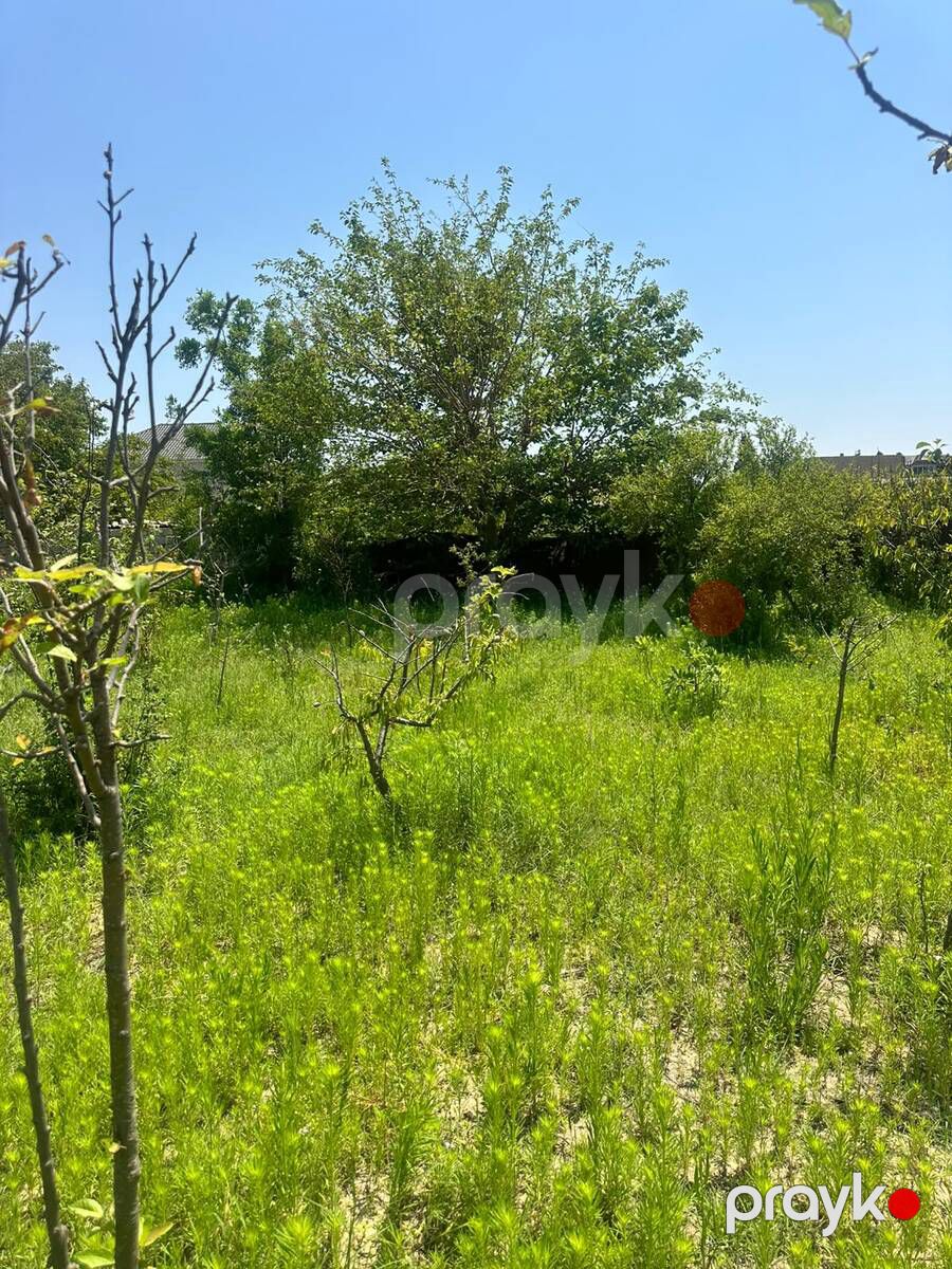 Satılır torpaq 3 sot — Torpaq, Bakı (4)