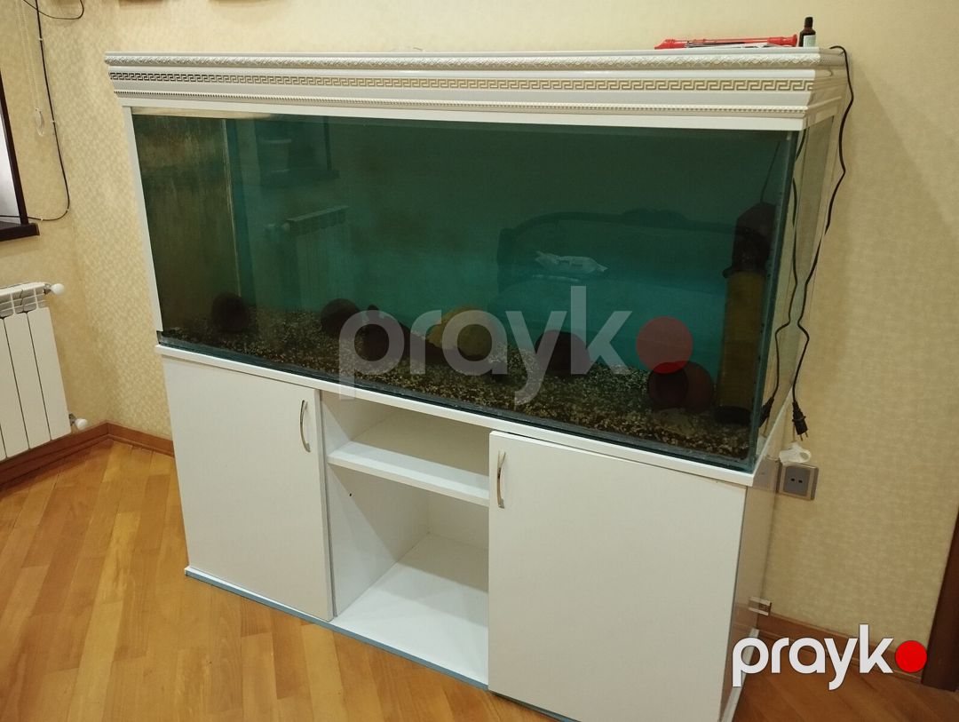 Akvarium 500L — Akvariumlar və balıqlar, Bakı (3)