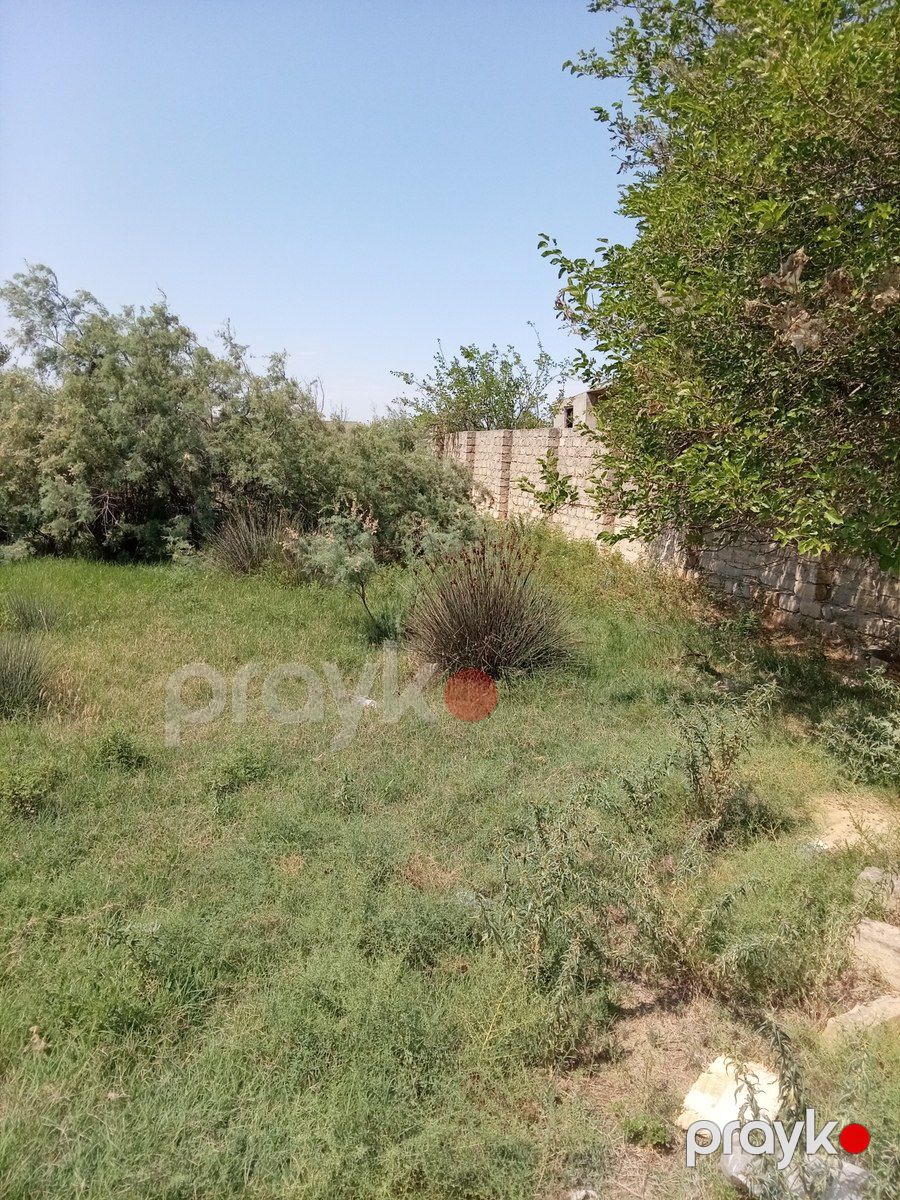 Satılır torpaq 7 sot — Torpaq, Bakı (3)