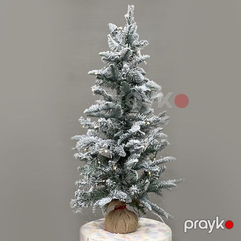 Qarlı Şam ağacı - code: 606 — Bakı
