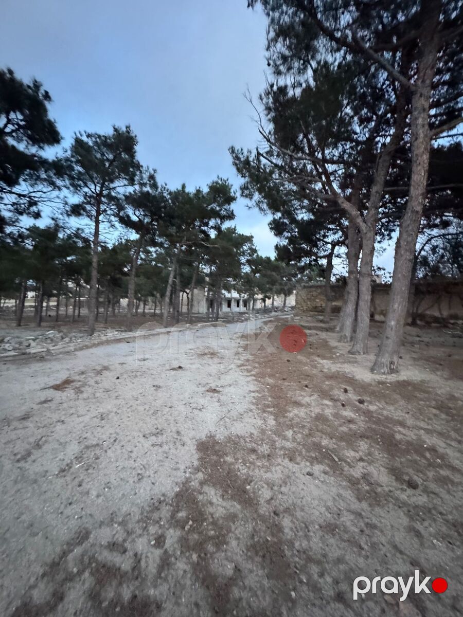 Satılır torpaq 144 sot — Torpaq, Bakı (7)