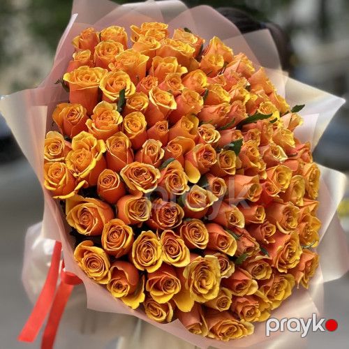 101 portağal (Bermud) qızılgülü - kod 4747 — Bitkilər, Bakı (2)