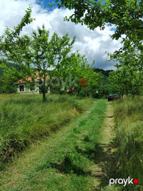 İcarəyə verilir 3 otaqlı həyət evi/bağ evi 100 m² — İsmayıllı