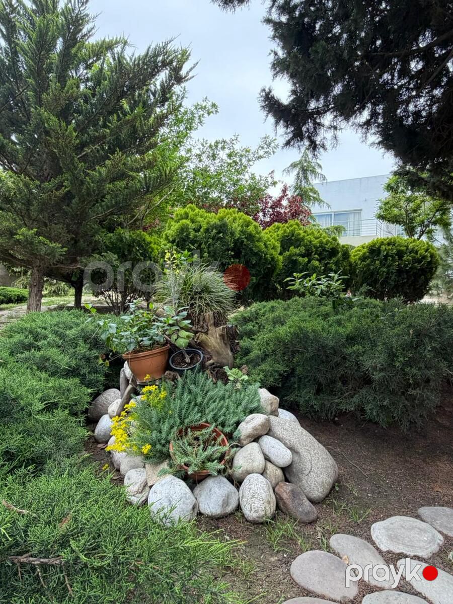 Satılır 6 otaqlı həyət evi/bağ evi 750 m² — Ev, villa, Bakı (9)