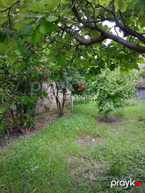 Satılır 8 otaqlı Həyət evi / Villa, 450 m², Saray — Abşeron