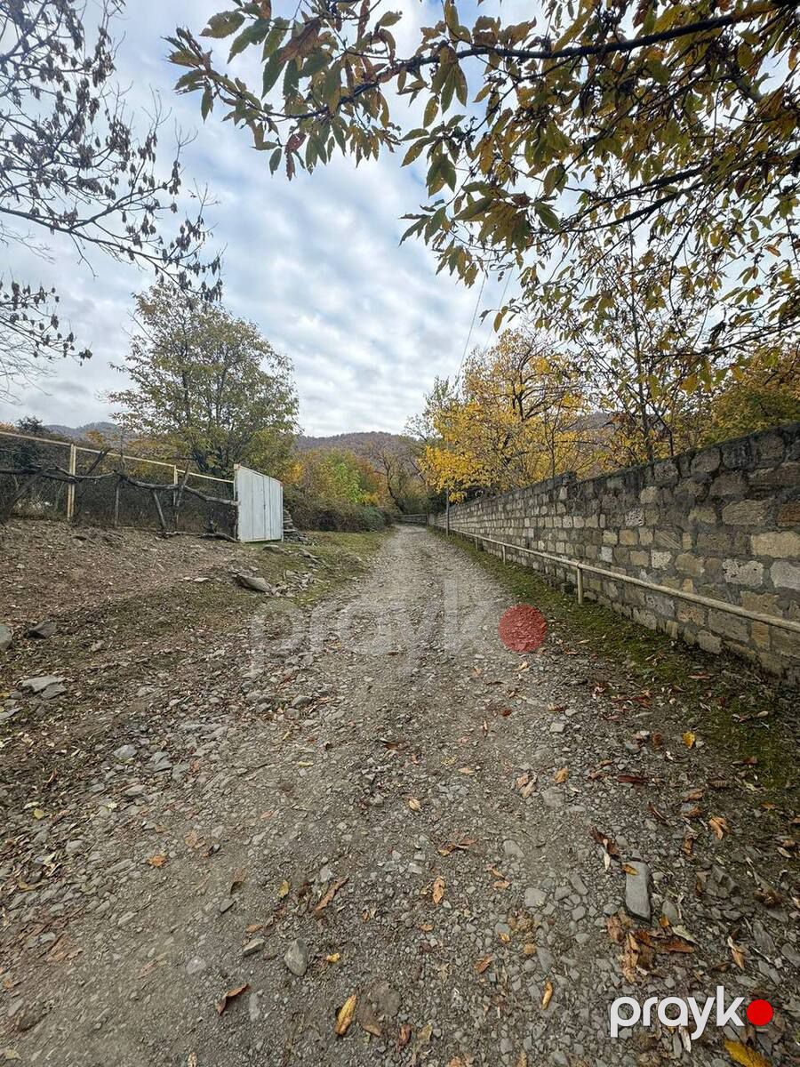 Satılır torpaq 30 sot — Torpaq, Zaqatala (5)