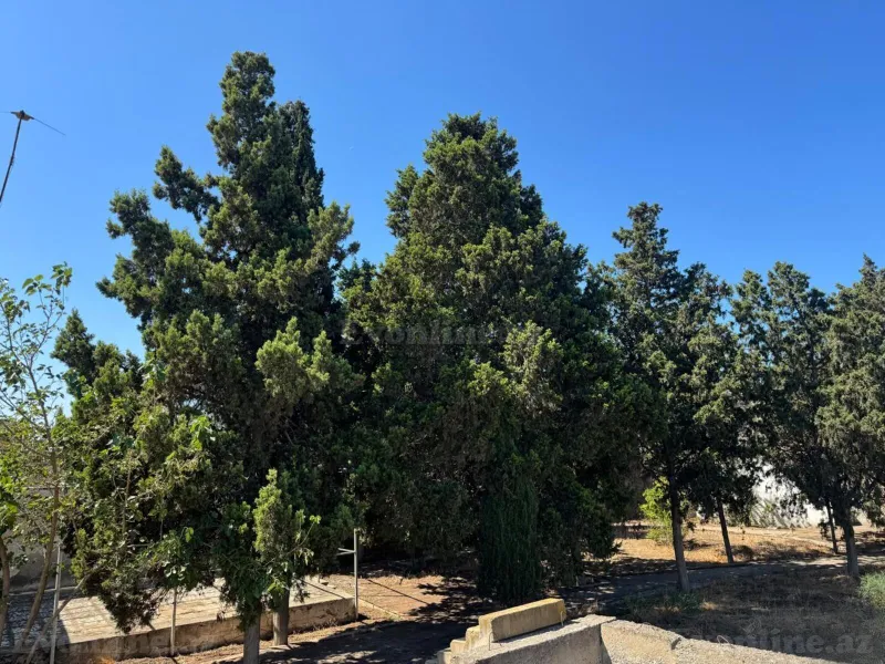 Kirayə verilir 3 otaqlı Həyət evi 42 m² Bakı, Xəzər r., Şüvəlan — Ev, villa, Bakı (7)