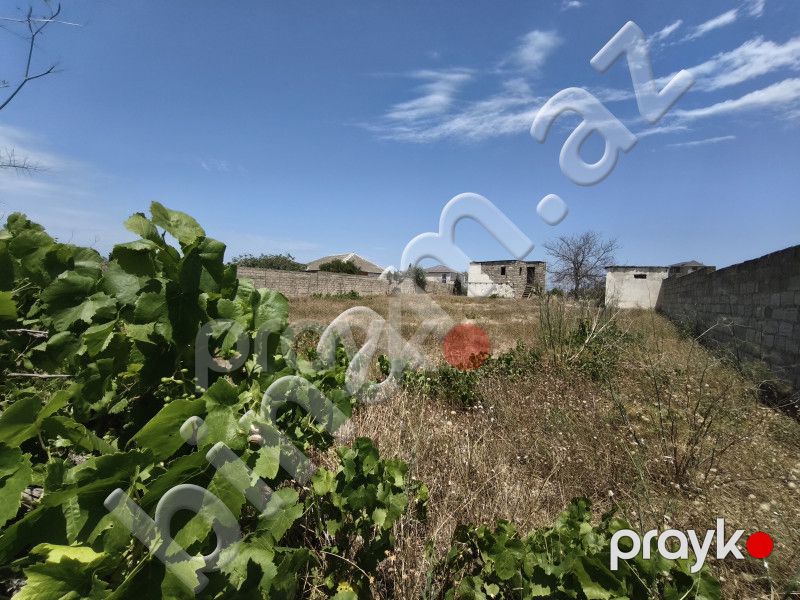 24 sot Torpaq, Satış, Bakı, Sabunçu — Torpaq, Bakı (4)