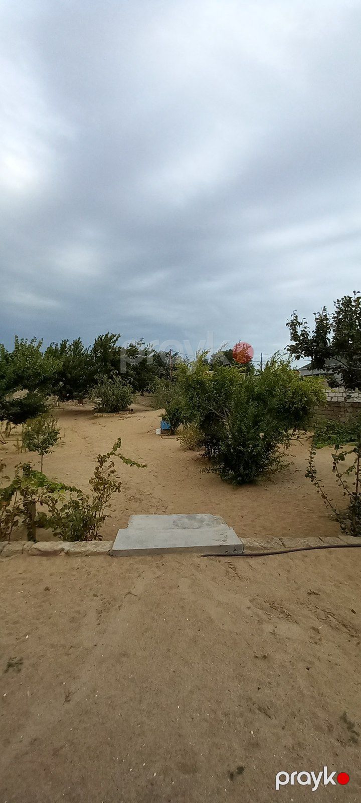 Həyət evi, Ləhiş bağları — Ev, villa, Bakı (9)