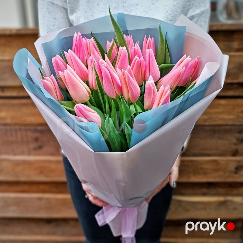 25 Çəhrayı Tülpan - code:2060 — Bitkilər, Bakı (2)
