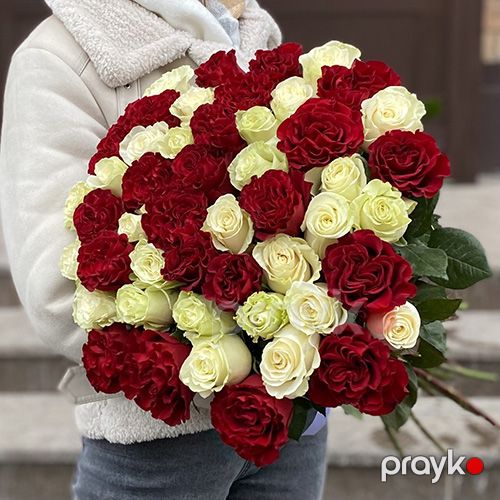 51 ağ və qırmızı qızılgül - kod 5353 — Bitkilər, Bakı (4)