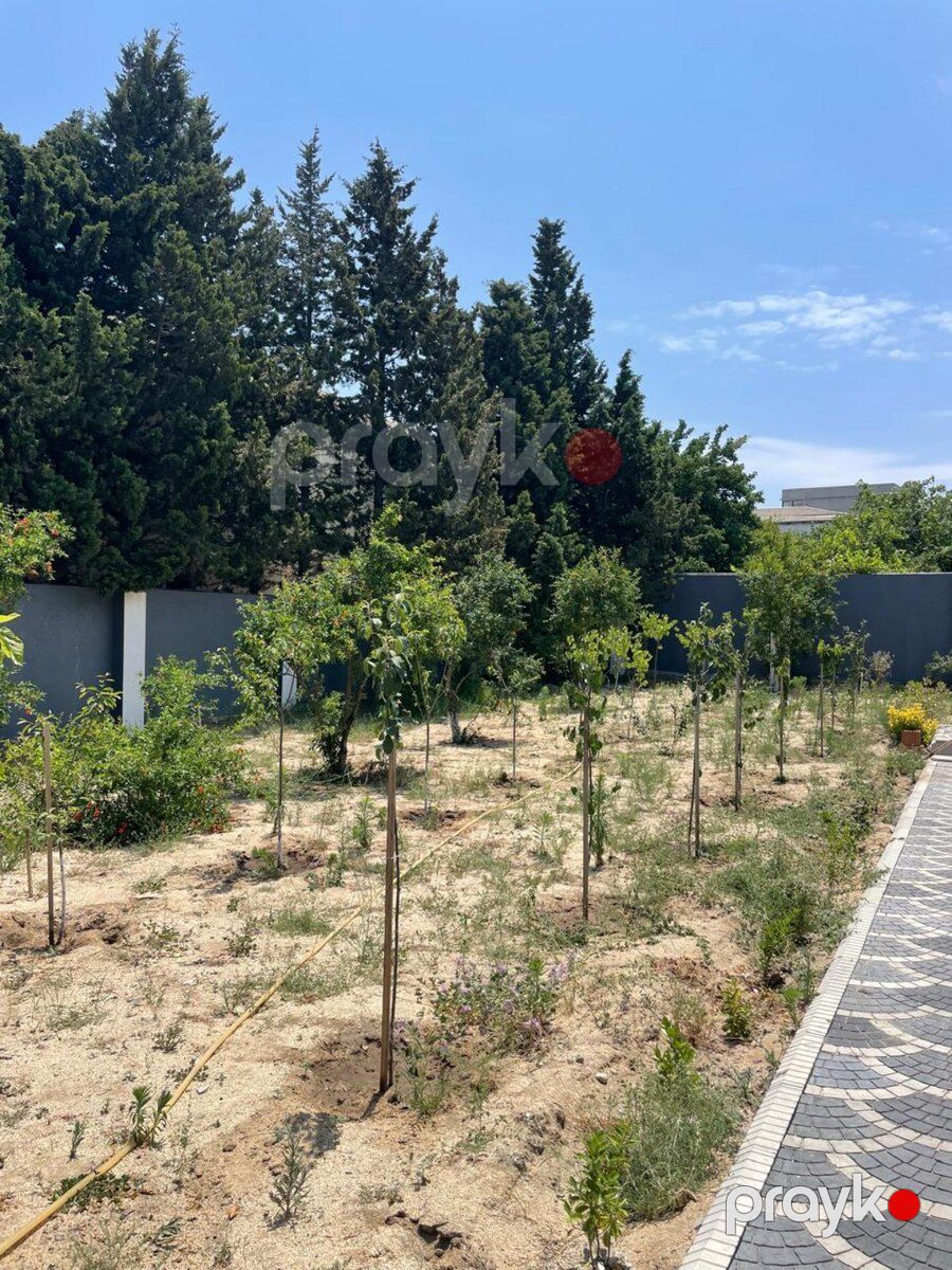 Həyət evi, Sumqayıt ş — Ev, villa, Sumqayıt (3)