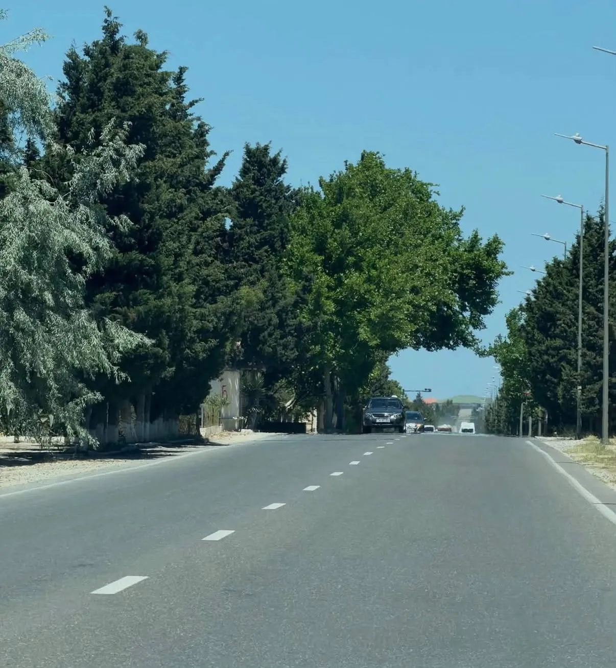 Şüvəlan, Torpaq satılır - 6 sot — Abşeron Bağları — Участок