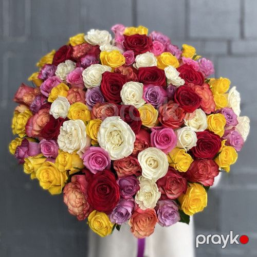 101 qızılgül qarışığı Premium - kod 5050 — Bitkilər, Bakı (4)