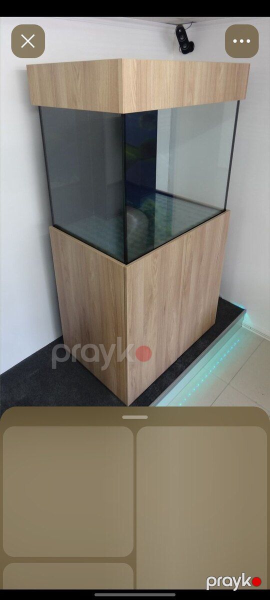 Akvarium — Akvariumlar və balıqlar, Sumqayıt (9)