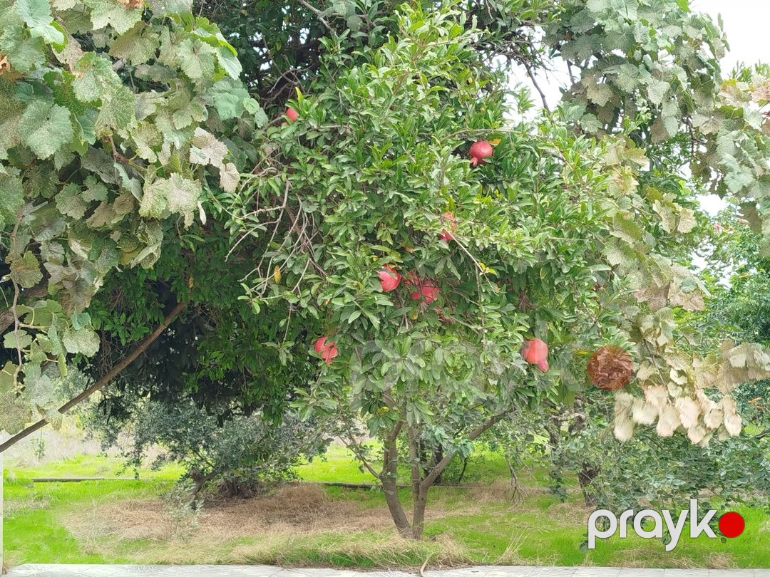 Satılır 3 otaqlı həyət evi/bağ evi 100 m² — Ev, villa, Bakı (5)