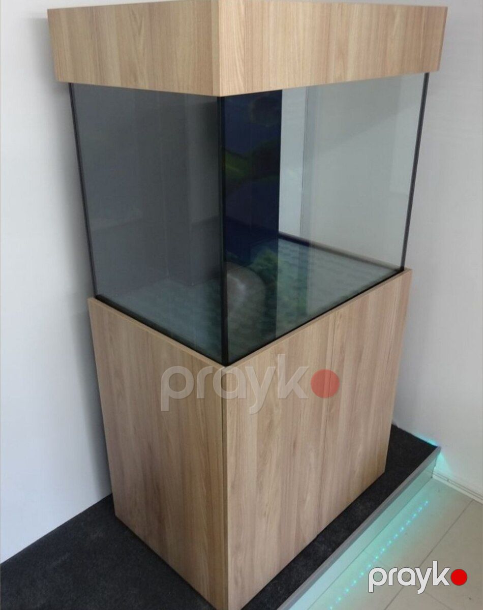 Akvarium — Akvariumlar və balıqlar, Sumqayıt (8)