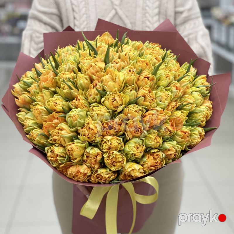 Piona bənzər Tülpan - code:2051 — Bitkilər, Bakı (2)