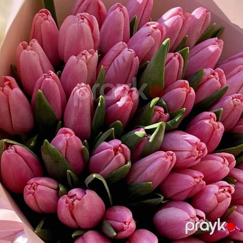 51 Çəhrayı Tülpan - code:2053 — Bayram məmulatı, Bakı (2)