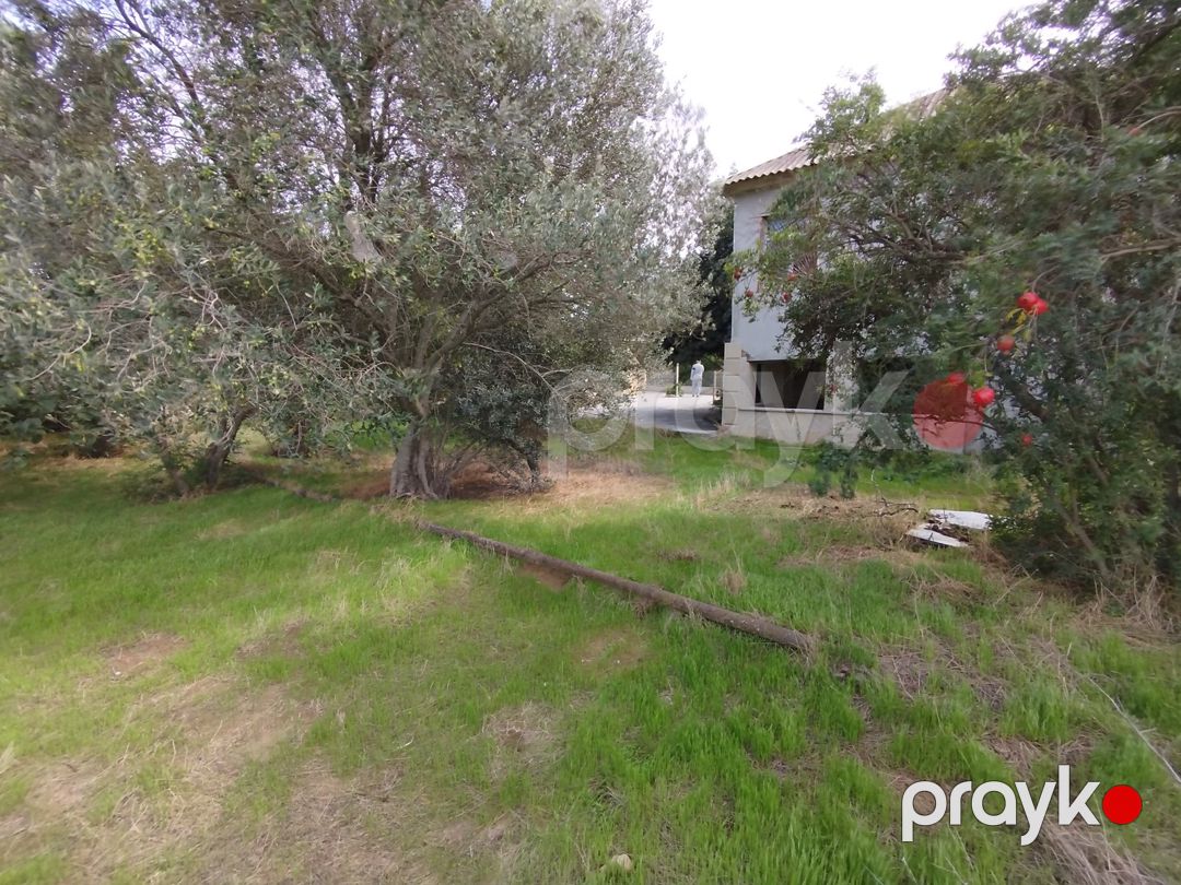 Satılır 3 otaqlı həyət evi/bağ evi 100 m² — Ev, villa, Bakı (4)