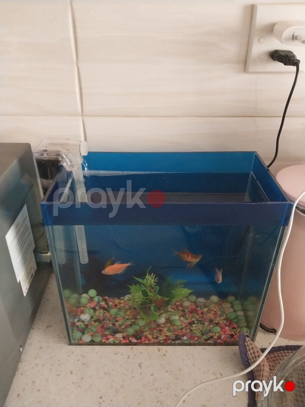 Akvaryum dəsti – kompakt masaüstü model - Şəffaf şüşə akvaryum — Akvariumlar və balıqlar, Mehdiabad (3)