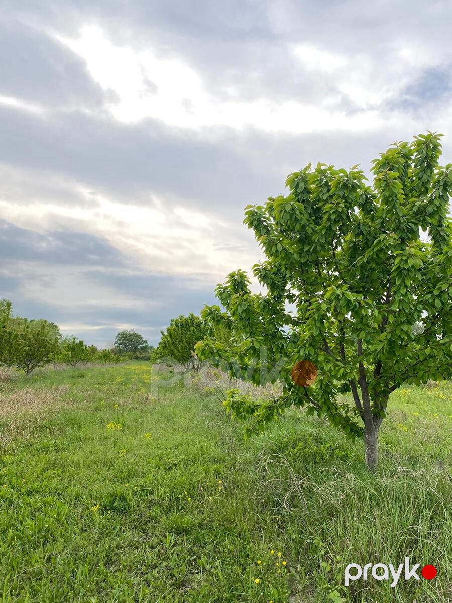 223.4 sot torpaq sahəsi, Qusar r — Torpaq, Qusar (3)