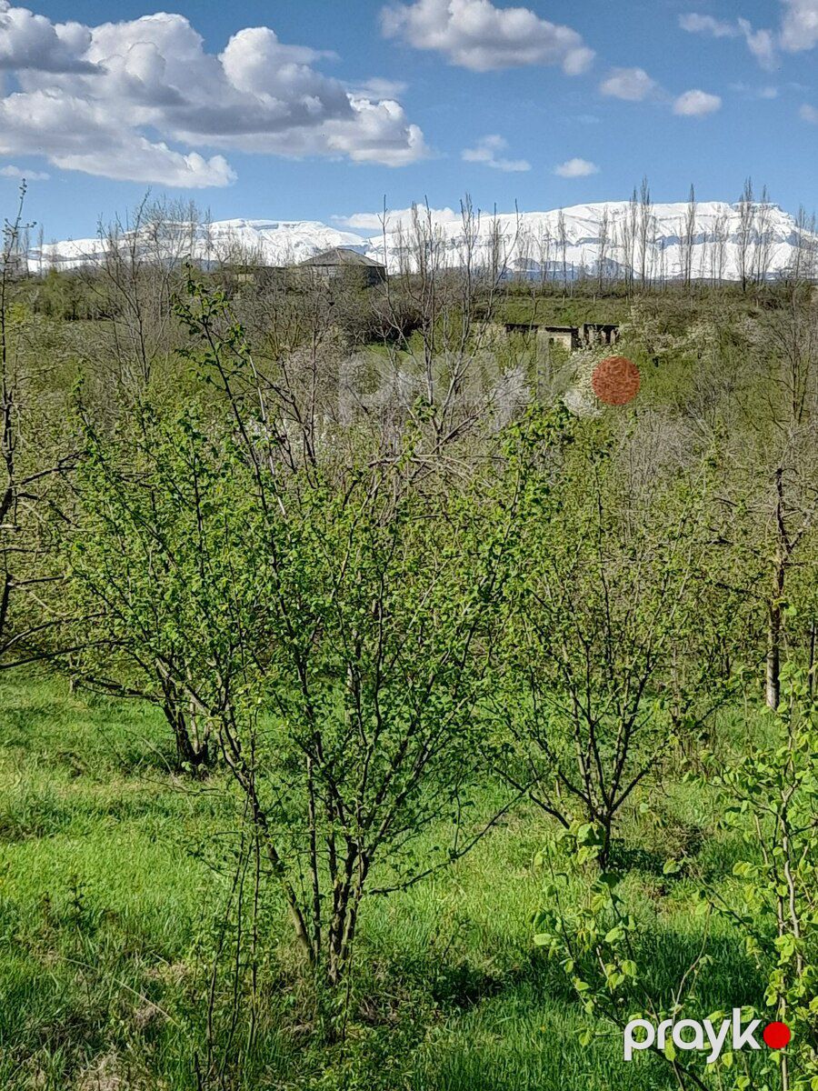 12 sot torpaq sahəsi, Qusar r — Torpaq, Qusar (7)